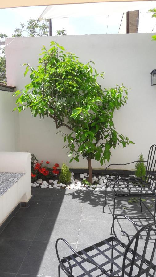 Bed and Breakfast Lemon Tree Torre Annunziata Zewnętrze zdjęcie